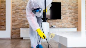 Pest Control Services: Protecting Your Property Investment and Reputation