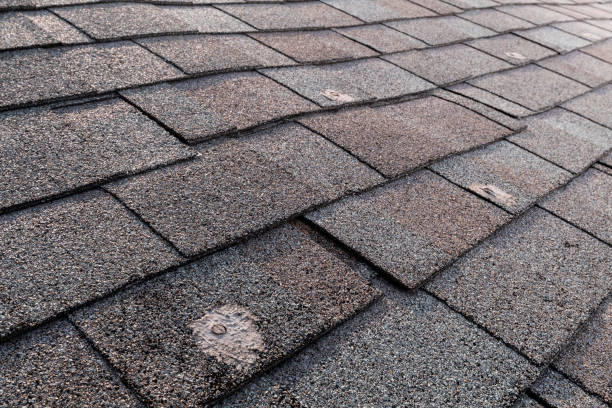 Is Spring the Right Time for Roof Replacement? Here’s What Experts Say